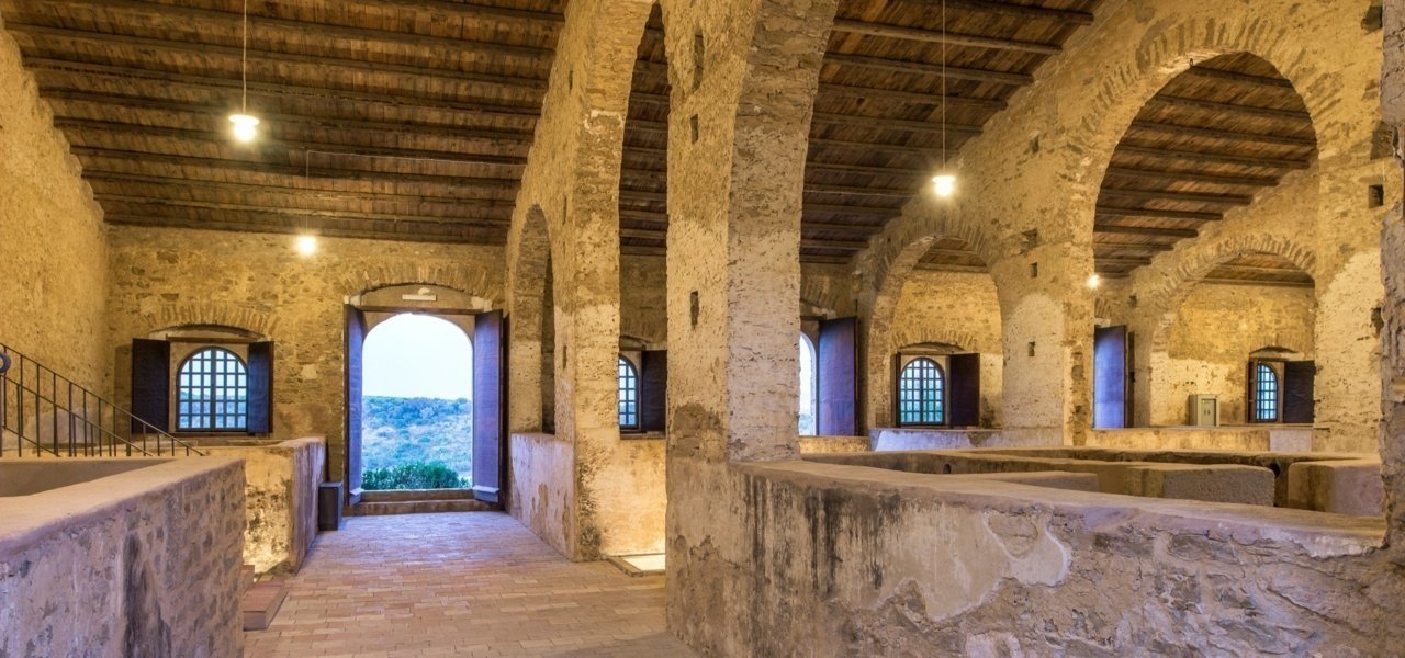 Exclusive tour at Feudi Del Pisciotto